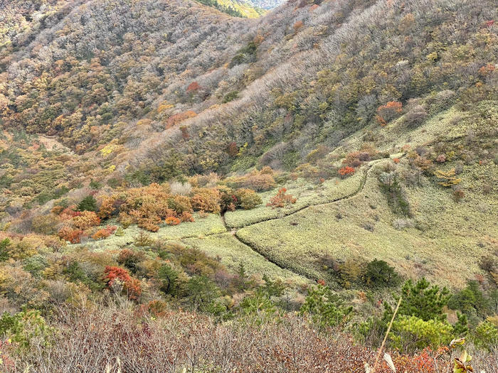 【島根】石見富士「三瓶山」のカルデラを大縦走！