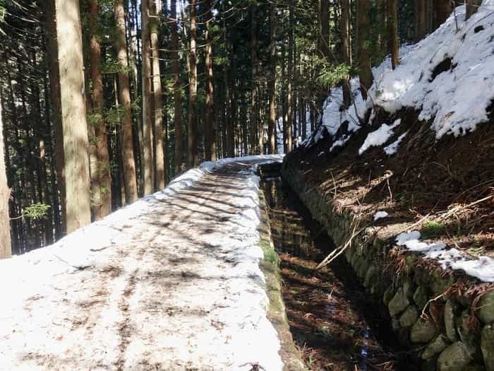 【長野】世界でここだけ！ニホンザルが温泉に入る地獄谷野猿公苑