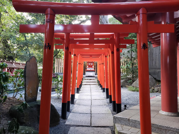 【静岡・熱海】日本屈指のパワースポット・来宮神社。「寿命が延びる」御神木は樹齢2100年