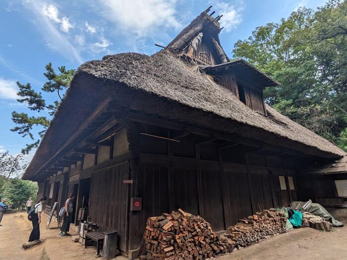 【神奈川・横浜】日本建築の魅力を集めた三渓園とおすすめランチ