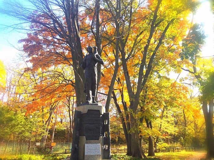 北海道立真駒内公園の紅葉ランで絶景を堪能しました