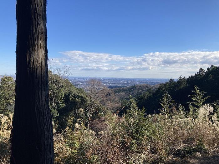 【埼玉県・大高取山】低山でありながら6つの眺望が楽しめる穴場の山