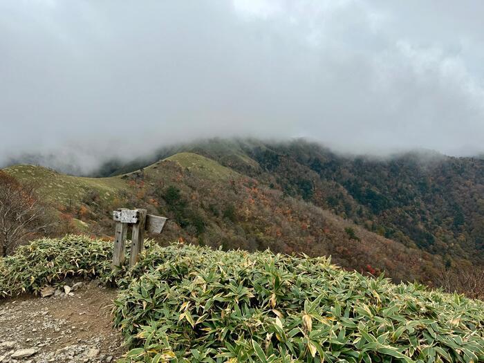 【日本百名山】23座目は天空の絶景ロードを見たくて剣山へ（徳島県）