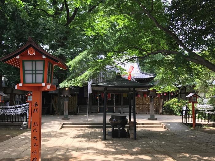 【世田谷】駅から徒歩3分！等々力渓谷を散策して自然の力に癒される