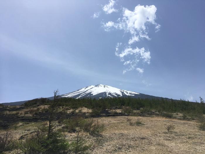 富士山には1年に1ヶ月間だけ現れる「まぼろしの滝」がある