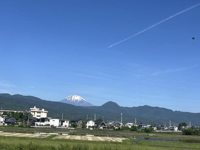 子連れ日帰り旅、フリー切符は本当におトク？