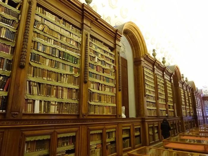 【イタリア】ハムの町・パルマをレンタサイクルで半日観光してみた!