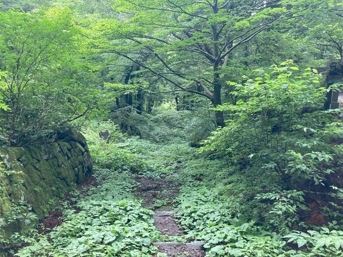 【鳥取】大神山神社　日本一長い石畳の参道に心落ちつく