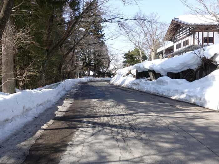 【長野】世界でここだけ！ニホンザルが温泉に入る地獄谷野猿公苑