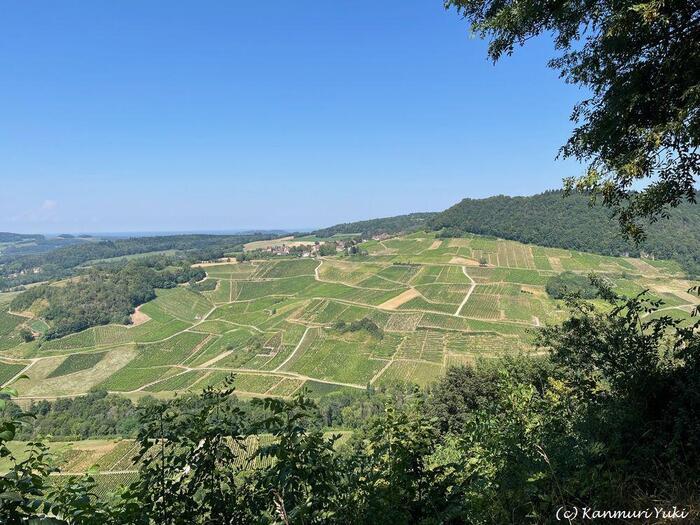 フランスの山はアルプスだけじゃない！ジュラの魅力