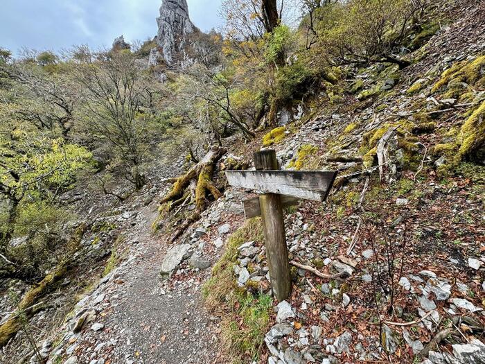 【日本百名山】23座目は天空の絶景ロードを見たくて剣山へ（徳島県）