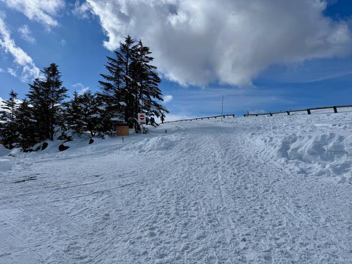 【日本百名山】15座目は美ヶ原（王ヶ頭）のパノラマコースを雪中ウォーキング（長野県）