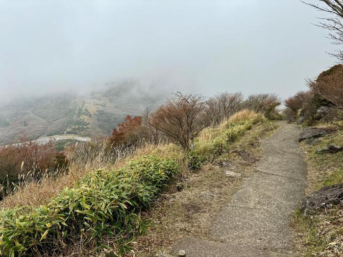 【日本百名山】26座目は摩訶不思議な世界が広がる久住山（大分県）