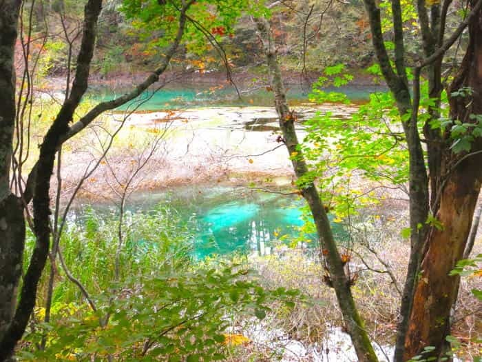 「五色沼湖沼群」散策のススメ！ 福島県裏磐梯の神秘の地を完全攻略