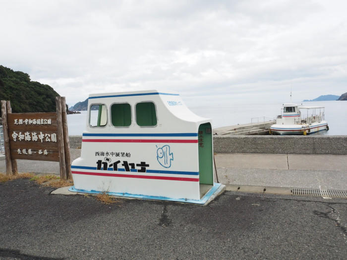 【愛媛県】海好き必見！未来に残したいサンゴや絶景の宇和海を紹介します。