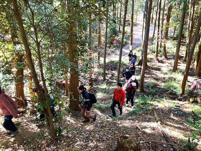 【群馬・藤岡市】桜山公園で森林空間を楽しむセラピー・トレイル体験モニターツアー