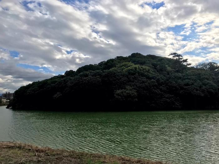 古墳ってどうやって楽しむの？ 百舌鳥古墳群レポート