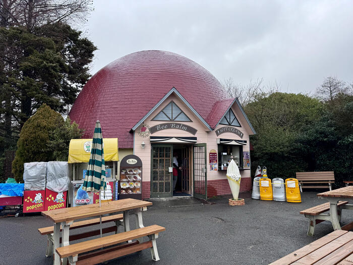 約48年ぶりの訪問！「九州自然動物公園アフリカンサファリ」園内レポート