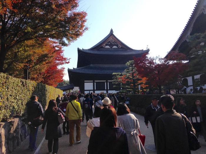 京都　東福寺の紅葉は、やはり圧倒的に美しかった。