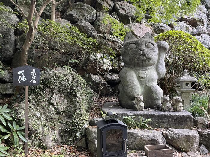 【徳島】猫神様に合格祈願！？「お松大権現」は猫好き必訪のパワースポット