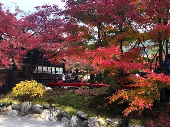 紅葉に食べられそう...秋の京都「南禅寺」と「永観堂」は素晴らしかった！