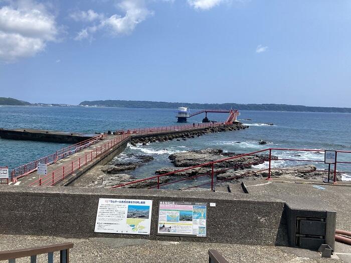 和歌山県を旅するなら、レール＆レンタカーがおすすめ！ 美しい海岸線と雄大な風景を満喫してきました。