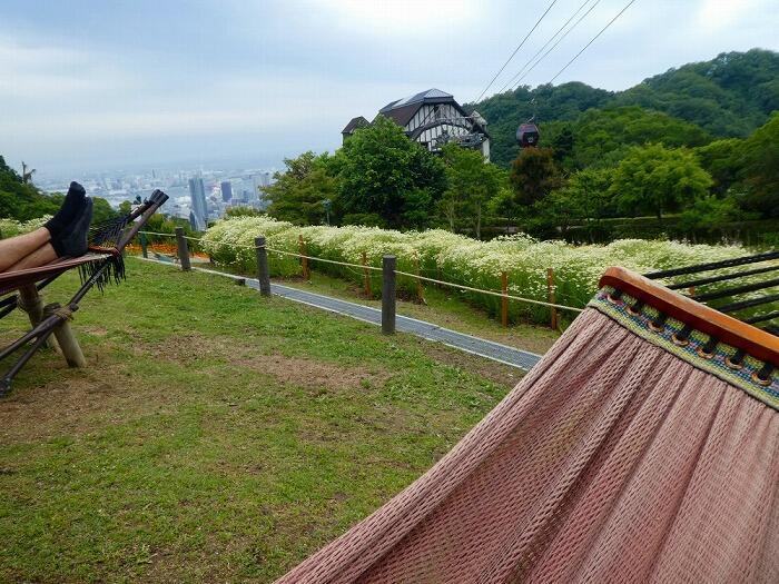 【兵庫】欧州の香りただよう、初夏の神戸布引ハーブ園へ