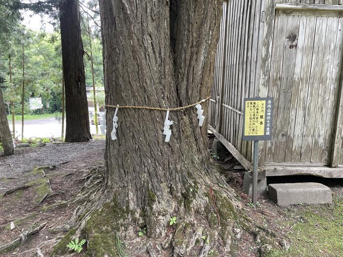 謎のアラハバキ神！？東北最強のパワースポット・丹内山神社【岩手県花巻市】