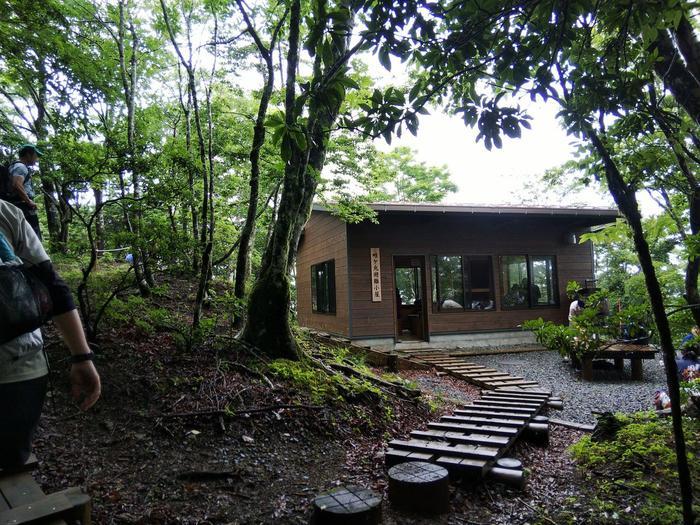 【真夏の低山登山】夏におすすめ！涼を求めて西丹沢・畦ヶ丸山を歩く