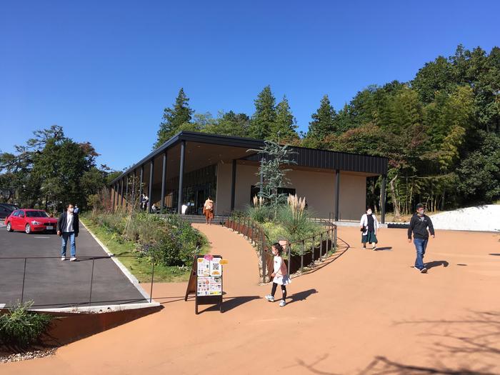 【埼玉県】飯能ハイキング・初心者向けコース（天覧山・多峯主山）