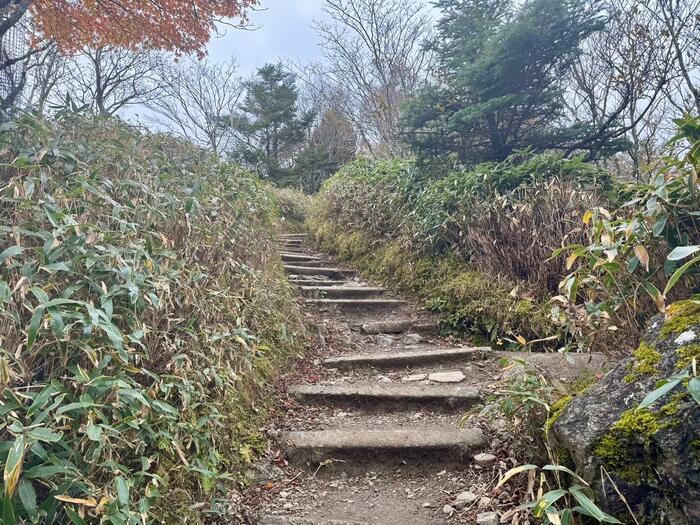 【日本百名山】23座目は天空の絶景ロードを見たくて剣山へ（徳島県）