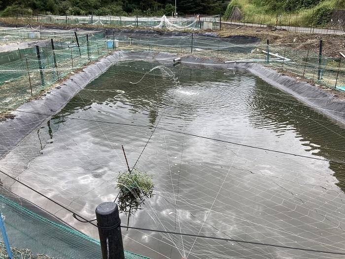 【広島県】思わず深呼吸したくなる町！神石高原町は たくさんの”おいしい●●”がある町だった。