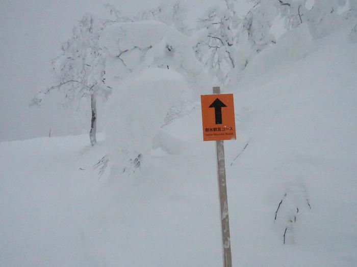 【秋田】日本三大樹氷「森吉山」で見上げる雪の造形美