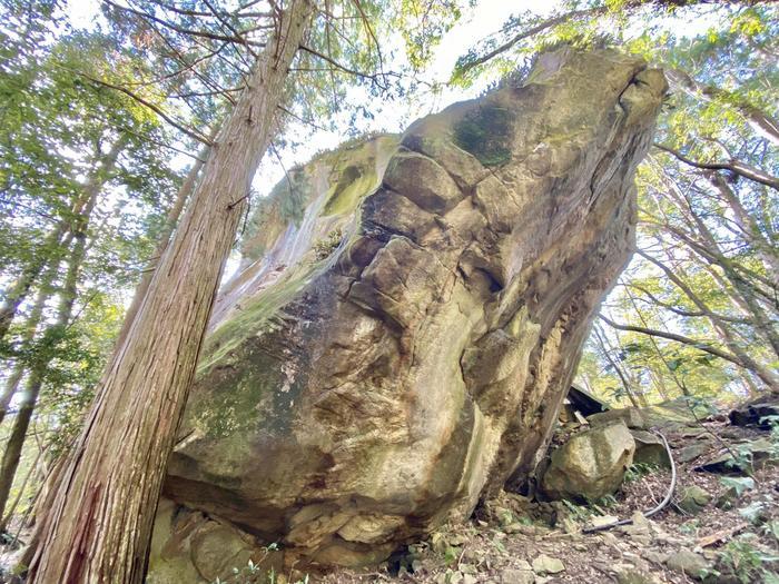 一度は歩いてみたい世界遺産～熊野古道伊勢路・馬越峠～