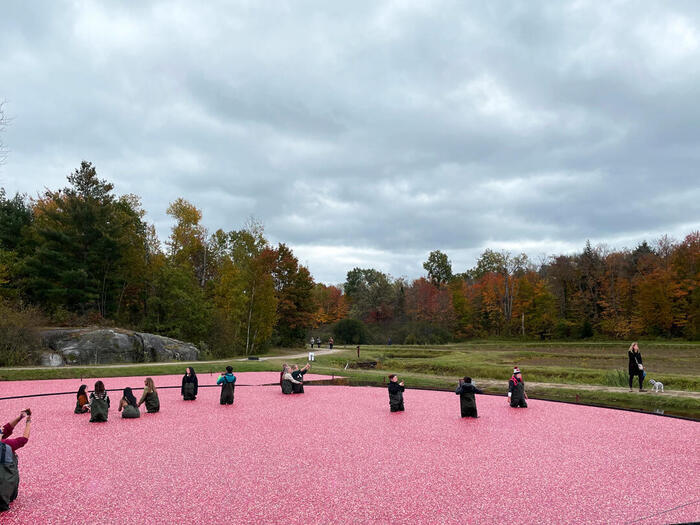 カナダ・オンタリオのリゾート地ムスコカ（Muskoka）で秋を堪能する