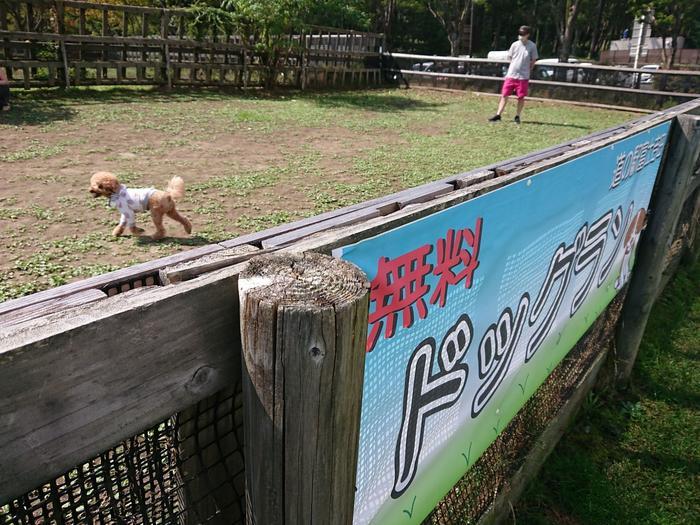 【山梨】富士山の麓・富士吉田市を自転車で周ってみた ～おすすめスポット7選も紹介します～