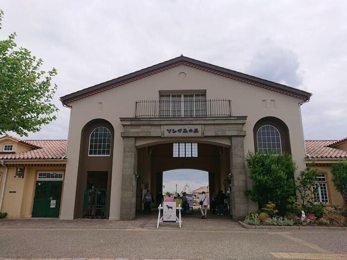 海・花・空の絶景！ 横須賀西海岸ソレイユの丘に行ってきた