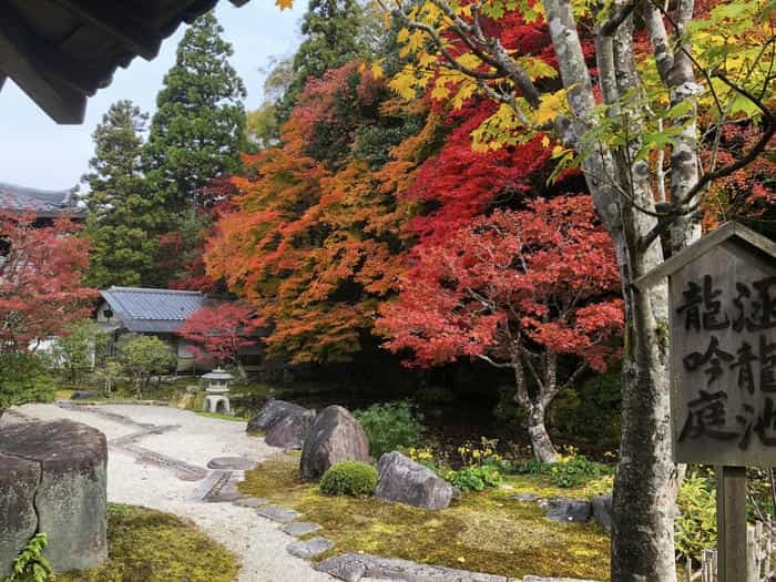 紅葉に食べられそう...秋の京都「南禅寺」と「永観堂」は素晴らしかった！