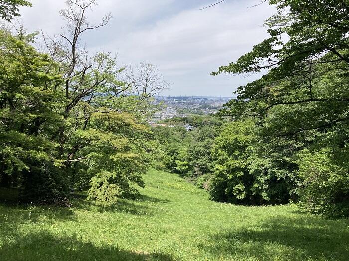 【八王子】とても公園とは思えない、しっかり山歩きを楽しめる「長沼公園」を歩く