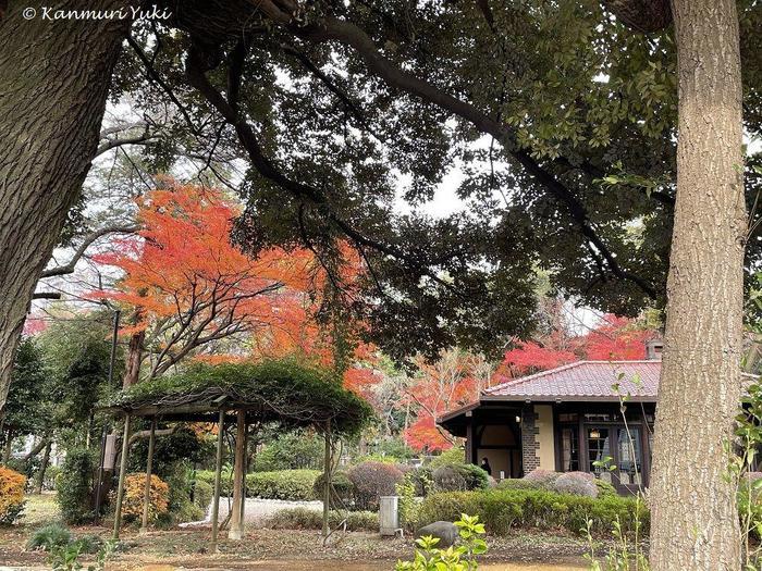 東京都北区と長崎をつなぐ彫塑家と言えば？！