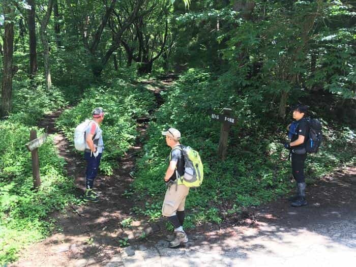 【奥武蔵で眺望の良い山】丸山・堂平山を縦走。最後に襲った悲劇とは・・・