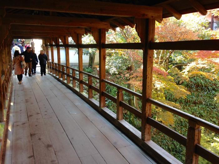 京都　東福寺の紅葉は、やはり圧倒的に美しかった。