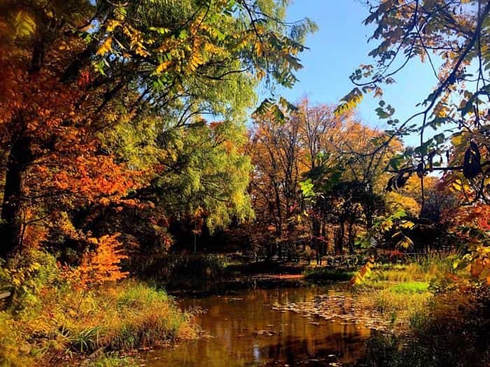 北海道立真駒内公園の紅葉ランで絶景を堪能しました