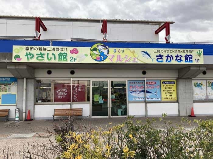 【神奈川県三浦半島食い倒れ旅】三崎グルメといえば・・・やっぱマグロでしょ！