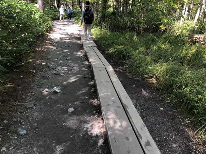 1度は行ってみたい長野県・上高地！美しい自然の中を歩き大満足でした！