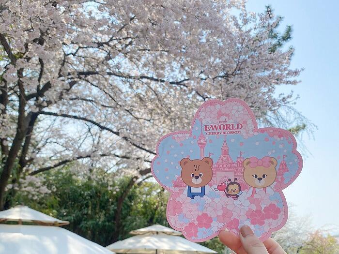 【韓国•大邱】お花見シーズンの大邱(テグ)で桜の名所に行ってきました
