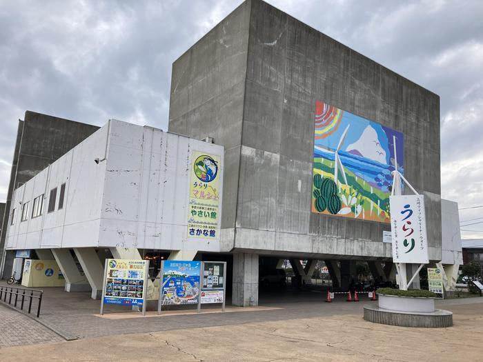 【神奈川県三浦半島食い倒れ旅】三崎グルメといえば・・・やっぱマグロでしょ！