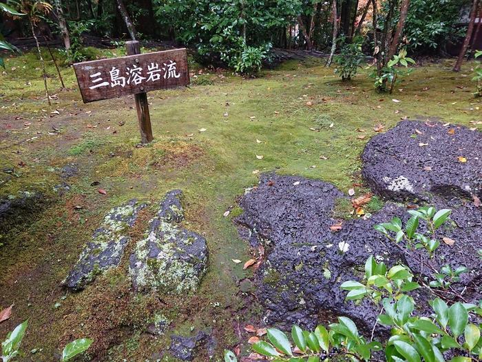 【静岡県】箱根西麓三島野菜を富士山を望む絶景の中で食べてきた