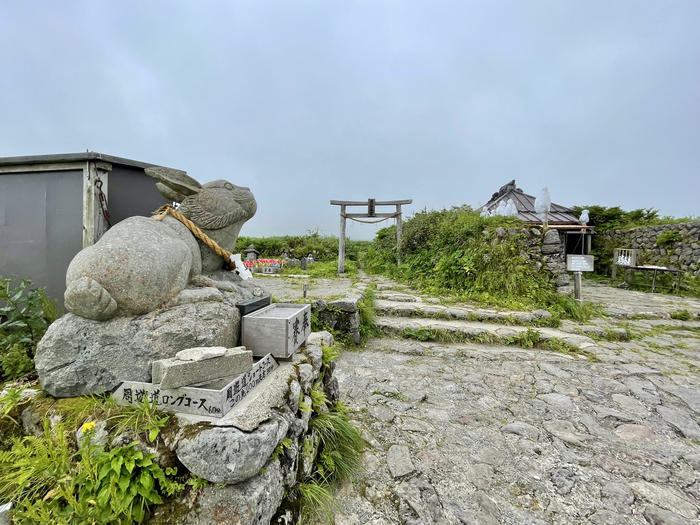 【山形】月山八合目・弥陀ヶ原湿原の歩き方