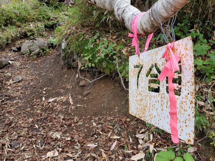 憧れの北海道「羊蹄山」に登ってみました